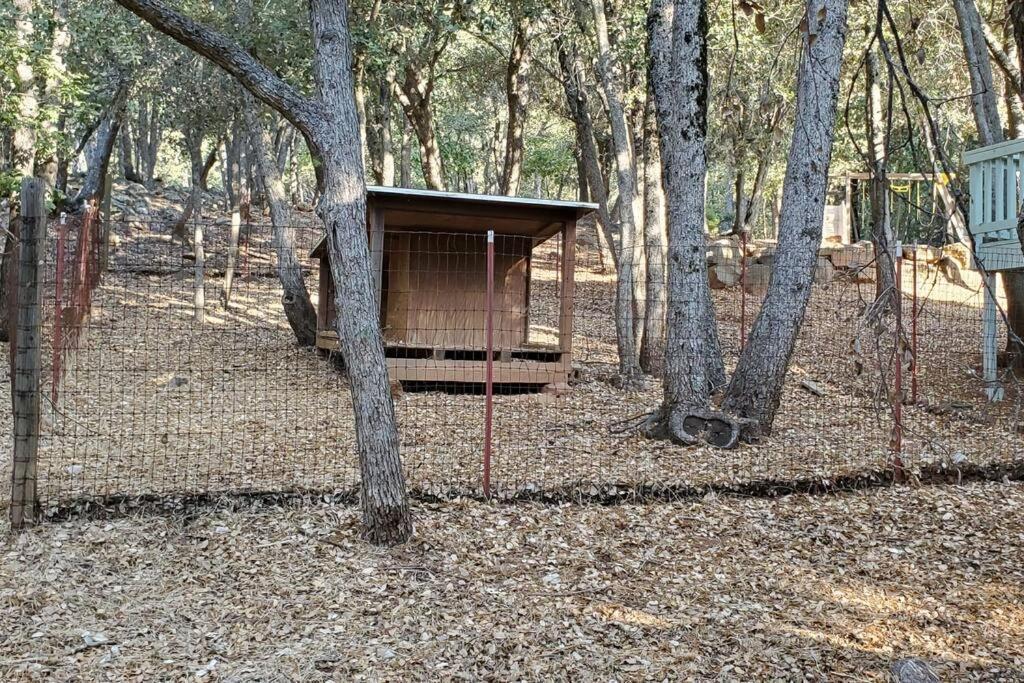 Pine Hills Cabin In جوليان المظهر الخارجي الصورة